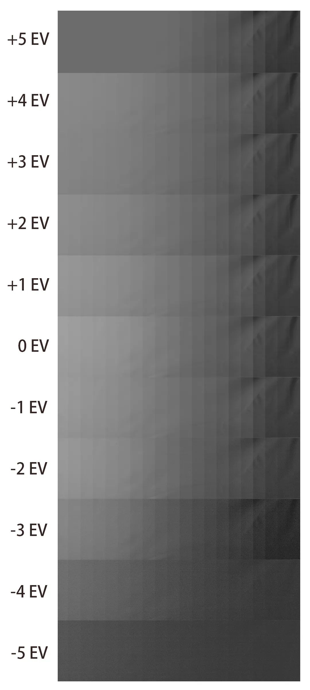 佳能r6mark2配什么性价比镜头,佳能r6mark2预拍摄