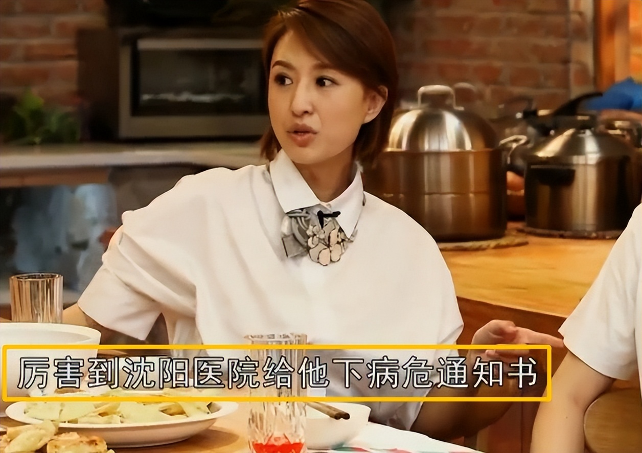 杨帆和妻子李枫哪年结的婚,杨帆妻子李枫简介