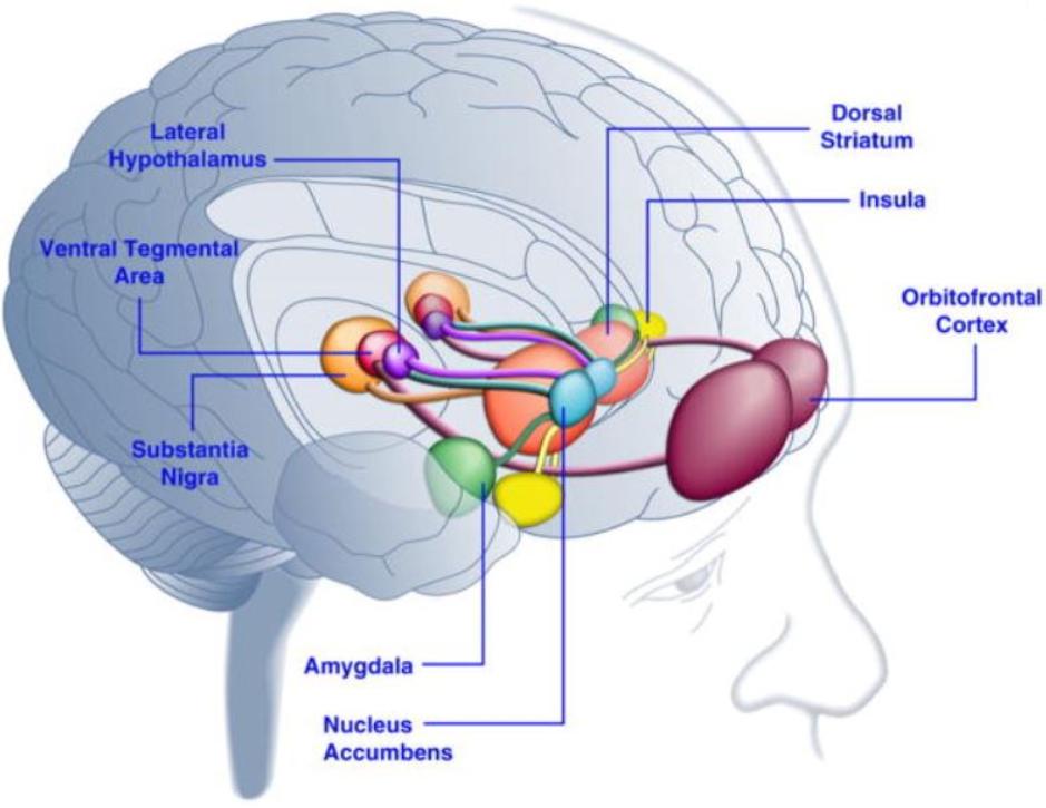 对食品添加剂的焦虑,你的焦虑可能与食品添加剂有关
