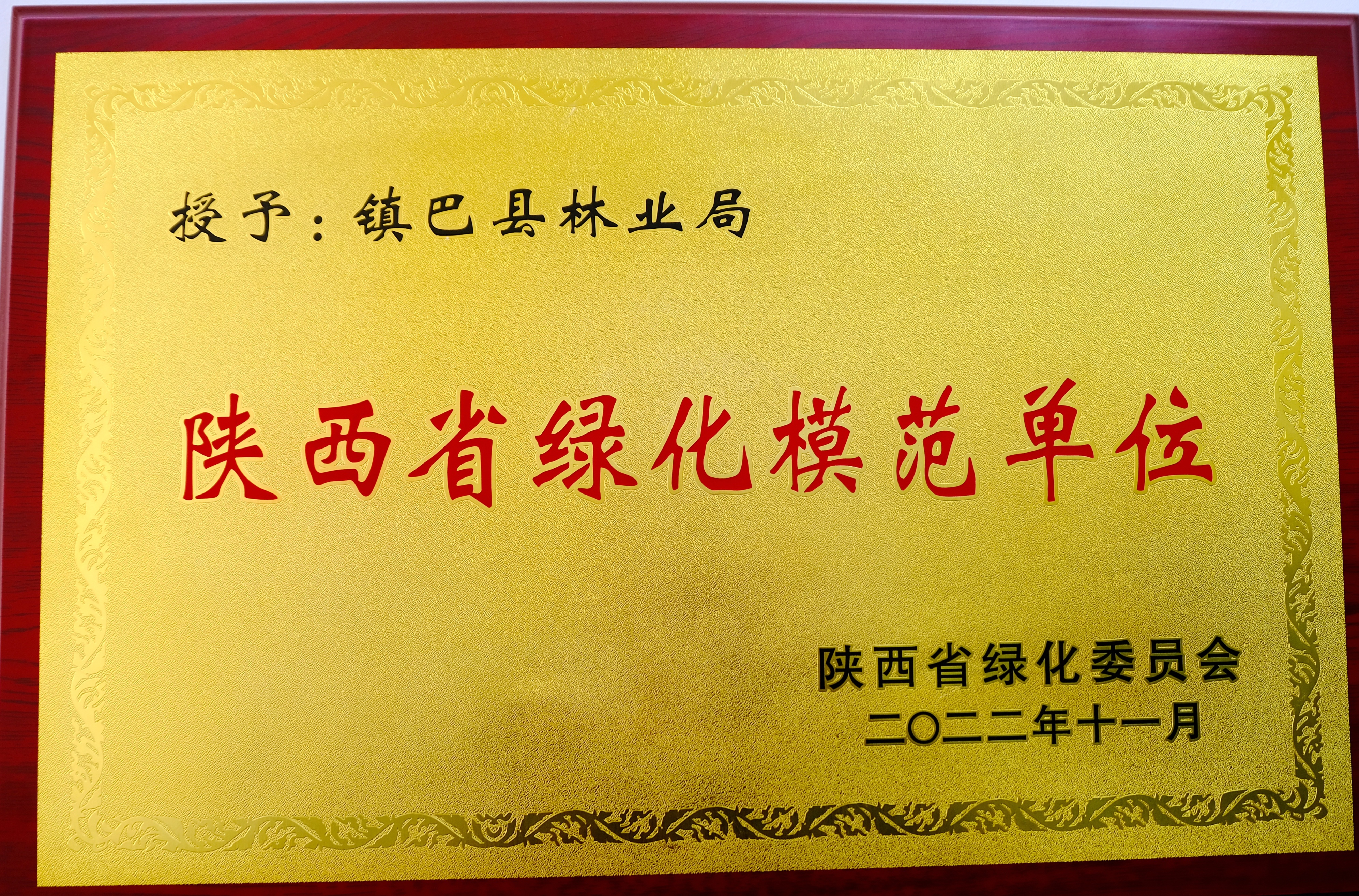 陕西省绿化模范单位,林业绿化工作先进个人荣誉证书