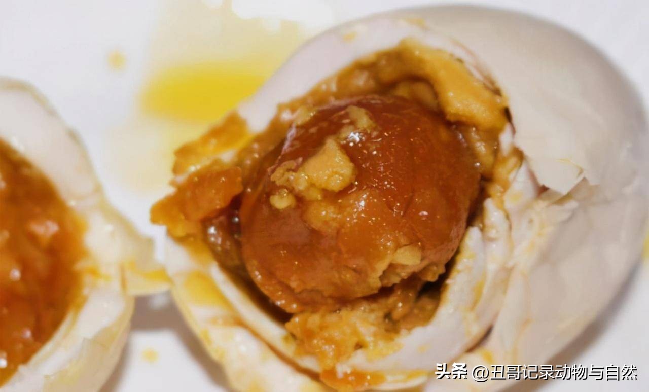 腌鹅蛋怎么腌能出油还好吃,怎么腌鹅蛋又出油又起沙又好吃