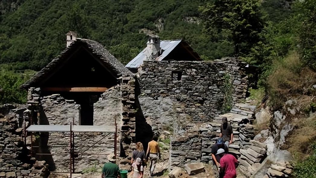 王云娜案件判刑名单,河北王云娜宣判