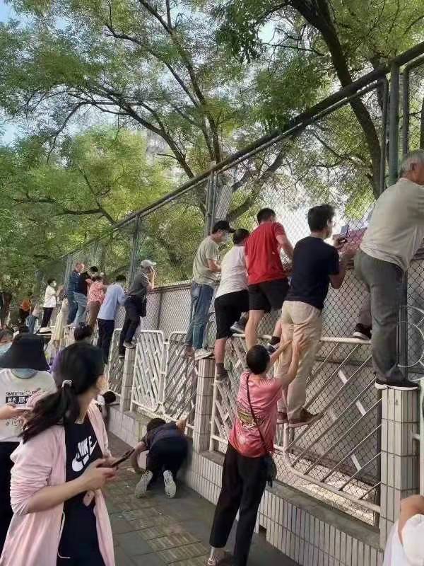 孩子看图写话特别差怎么办,学生看图写话面临的问题