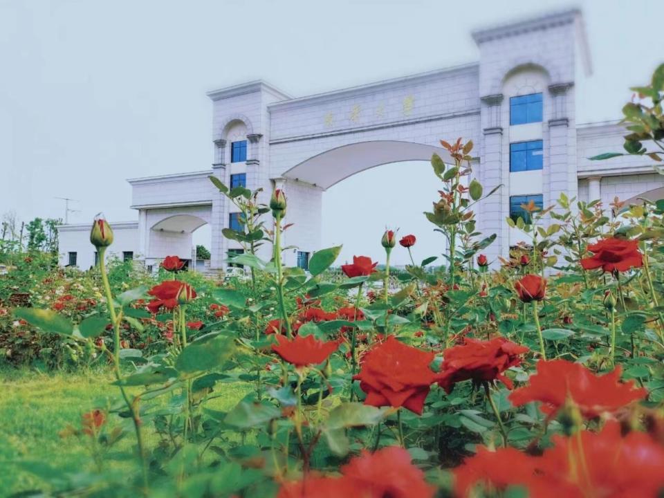 南华大学核工程与核技术专业好吗,南华大学医学院口腔医学专业排名