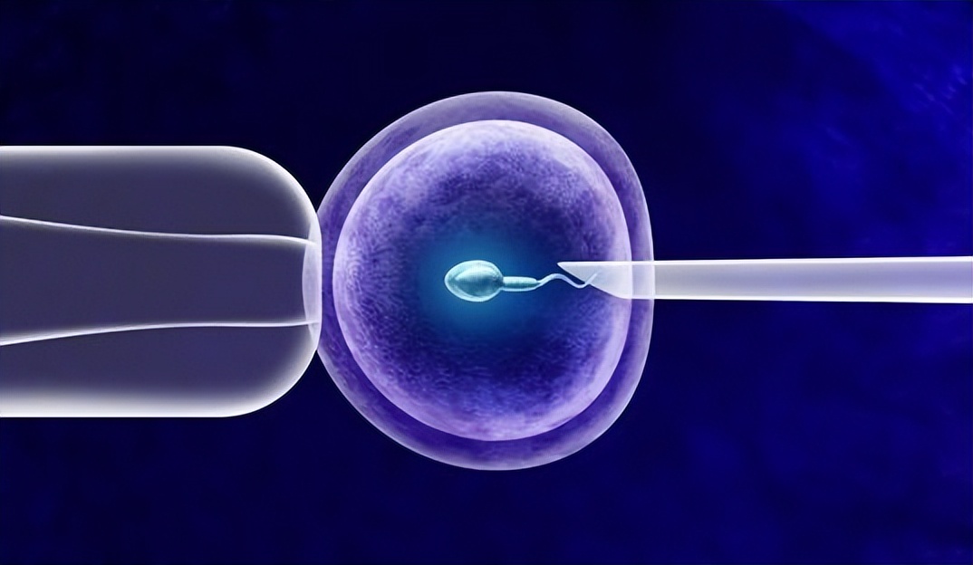 “人工受精”与“人工授精”，到底有什么区别呢？看完涨知识了