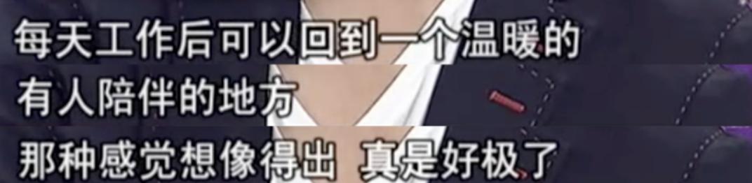 康辉后悔丁克吗,康辉谈后悔丁克视频