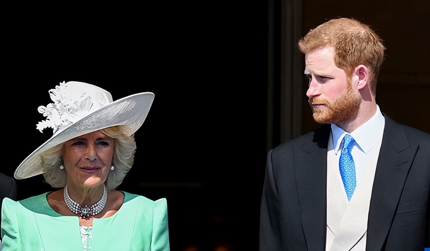 哈里王子为何恨卡米拉,哈里王子抨击卡米拉