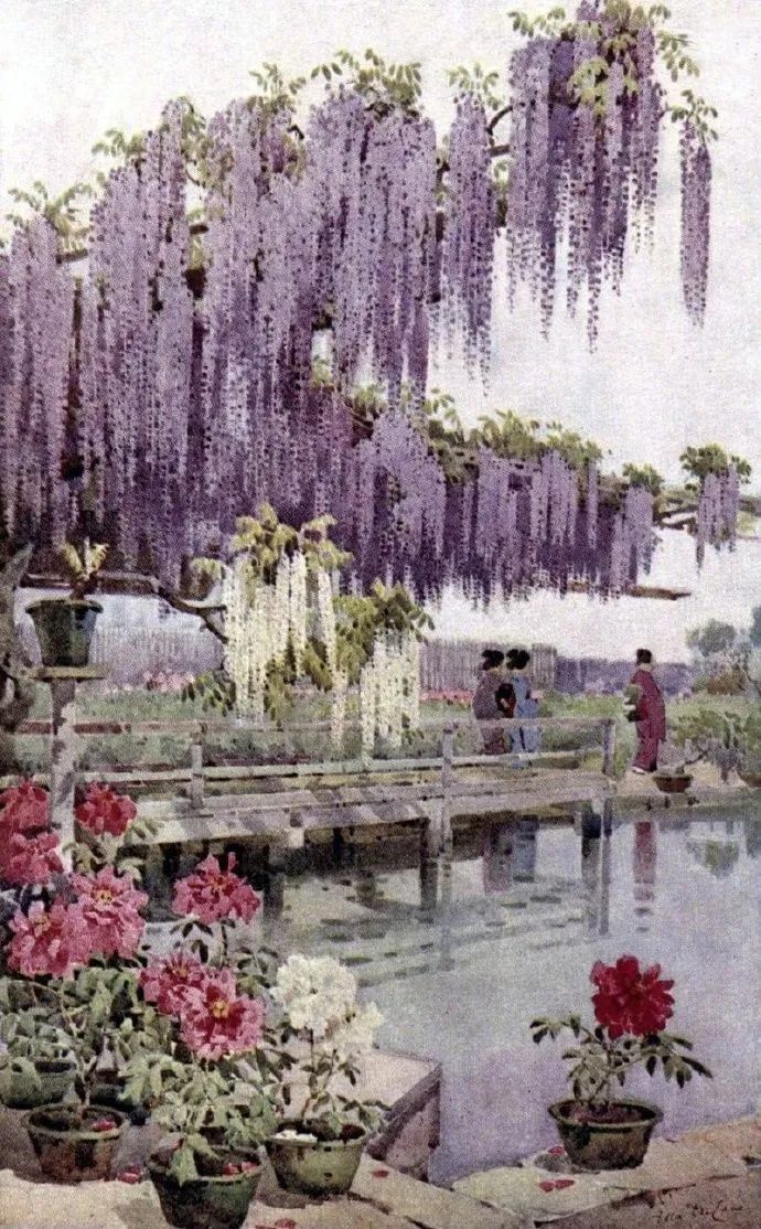 鑻卞浗鐢诲michael楂樻竻鍥剧墖浣滃搧,鑻卞浗姘村僵鐢诲elladucane缁樼敾浣滃搧