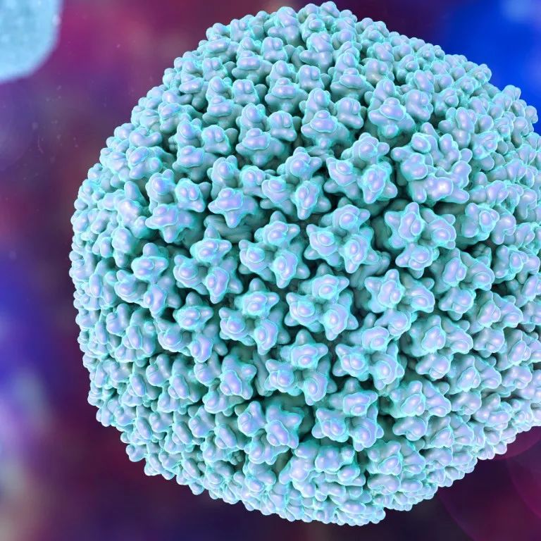 儿童腺病毒感染是什么症状,儿童腺病毒感染会传染吗