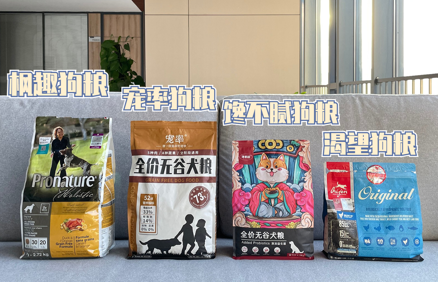 养什么狗最好养又听话还聪明,新手养什么狗好养又省钱颜值好