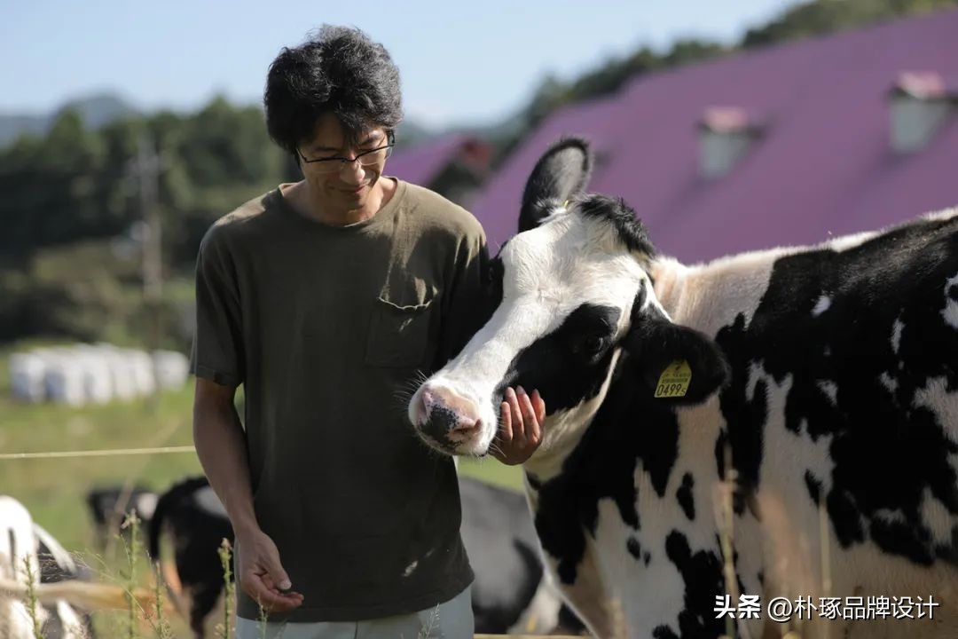 三农类农产品品牌,三农领域创意农产品品牌