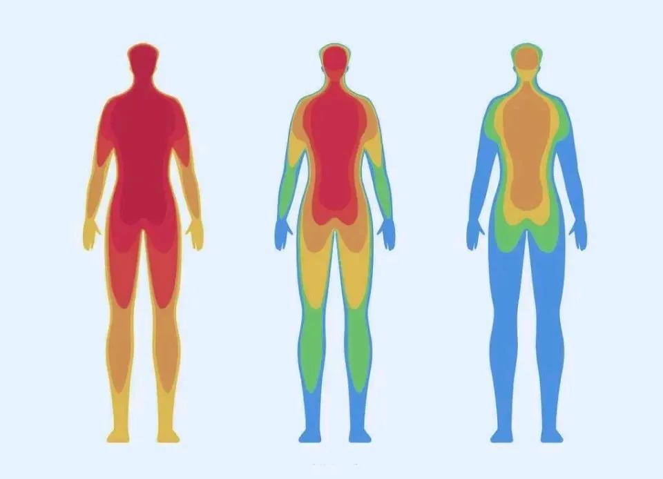 为啥比平常人怕热又怕冷,怕热和不怕热的人是什么原因呢