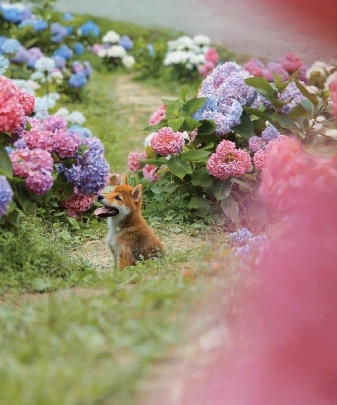 注意微信朋友圈这些内容千万别发,切记这些东西不能发到朋友圈