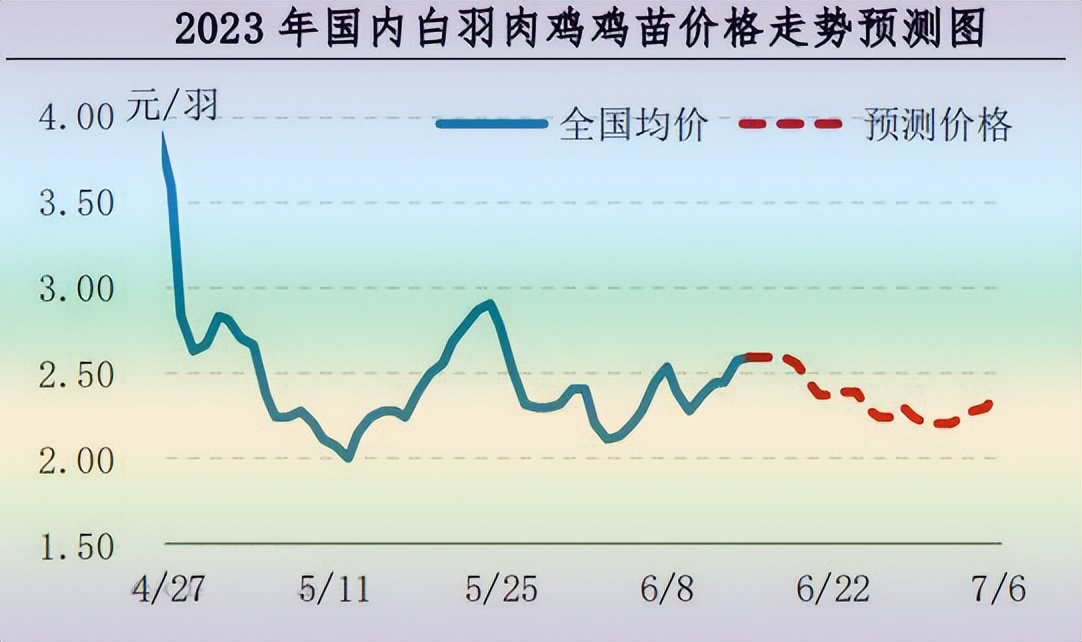 10月肉鸡价格走势,11月28号肉鸡价格最新行情分析
