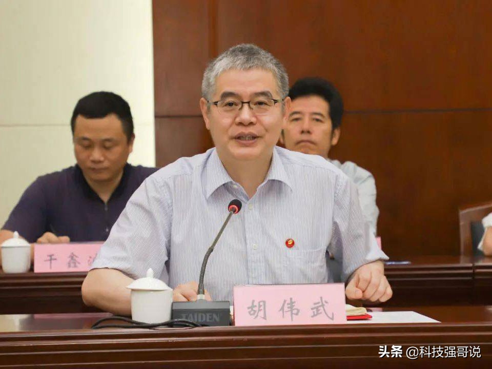 魏少军谈国产芯片股份,魏少军谈2023年中国芯片