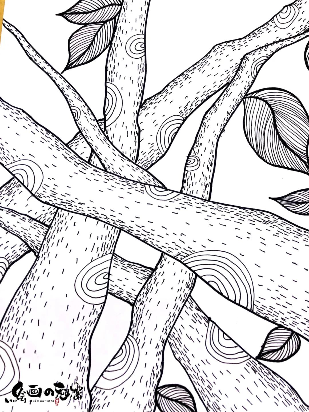 不会生气的蜗牛,生气的蜗牛