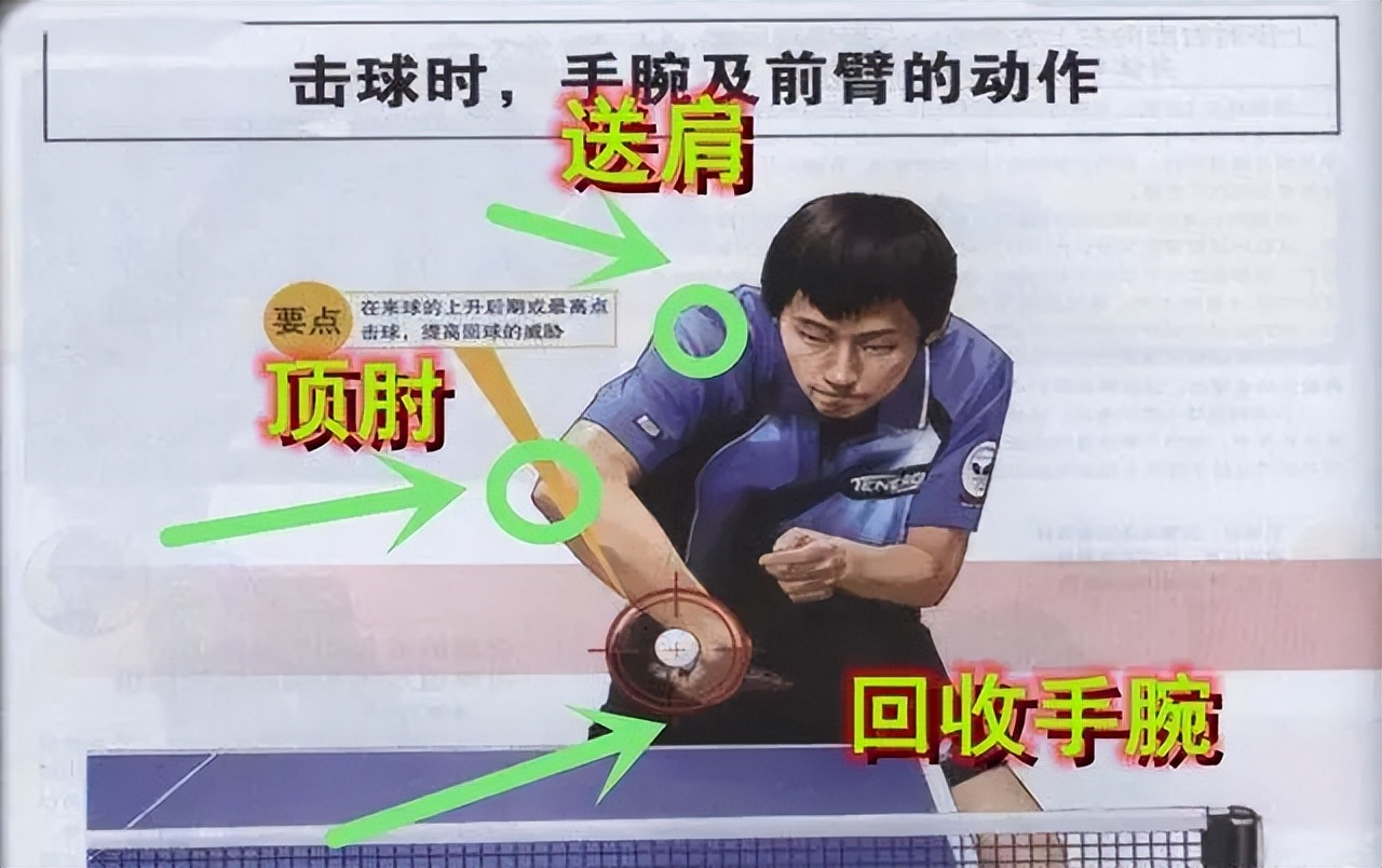 乒乓球反手拧拉的正确姿势,乒乓球拧拉技术看完就会