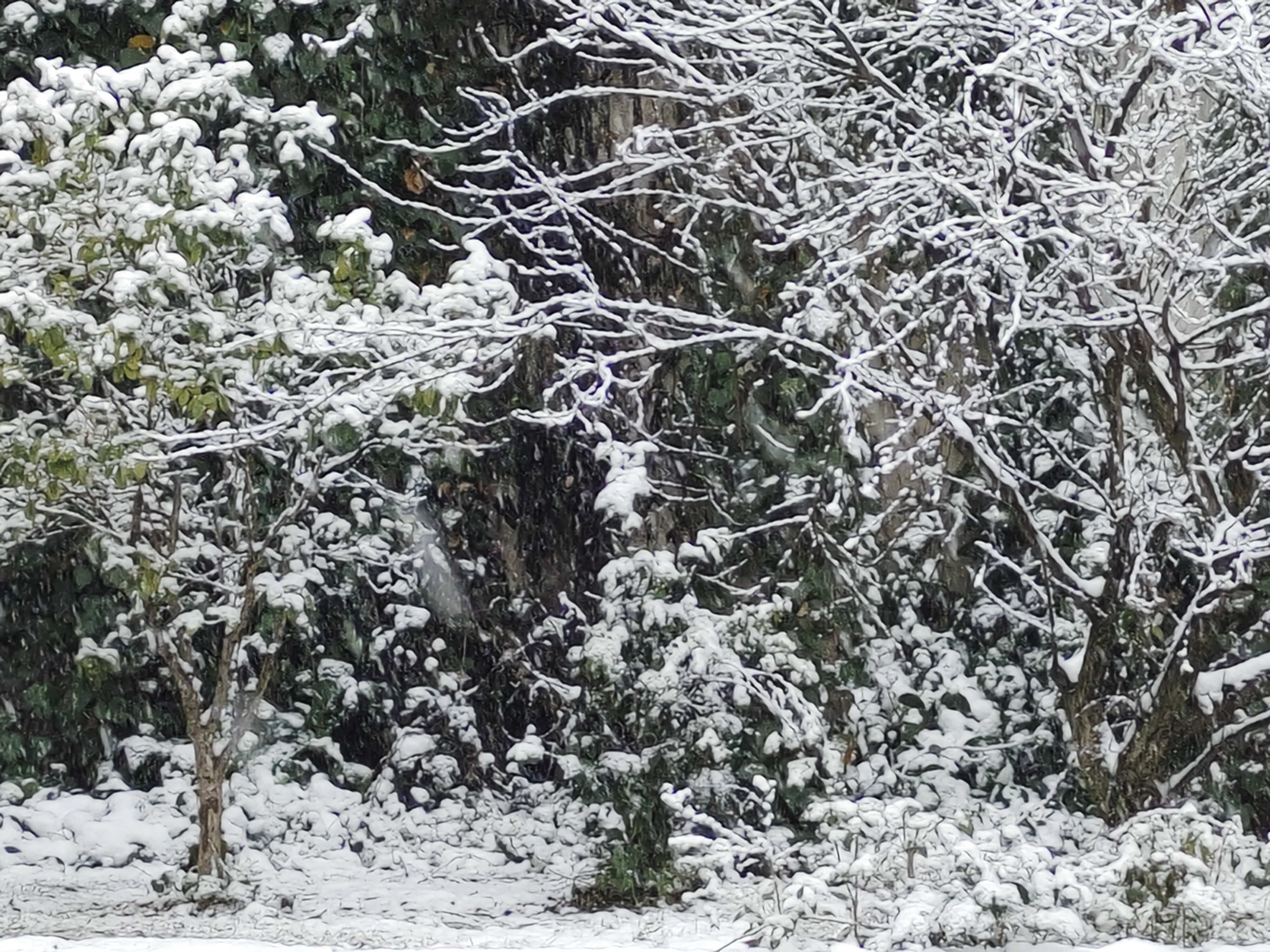 iqooneo5新手机换机,iqooneo5换新系统