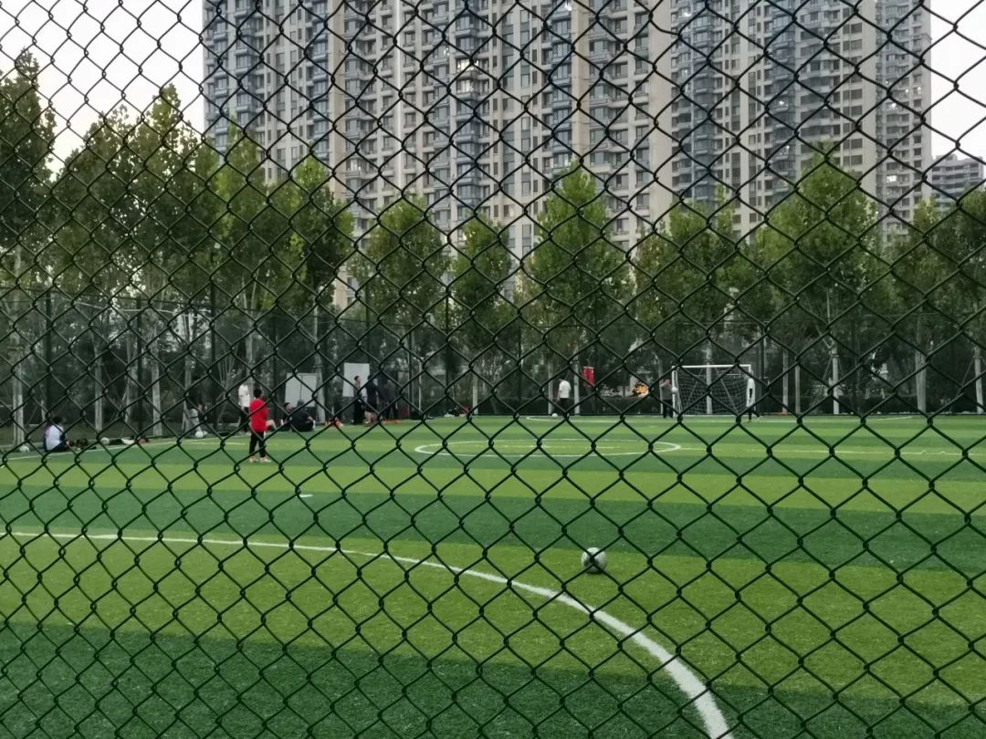 济南四大免费公园,济南小公园游玩攻略