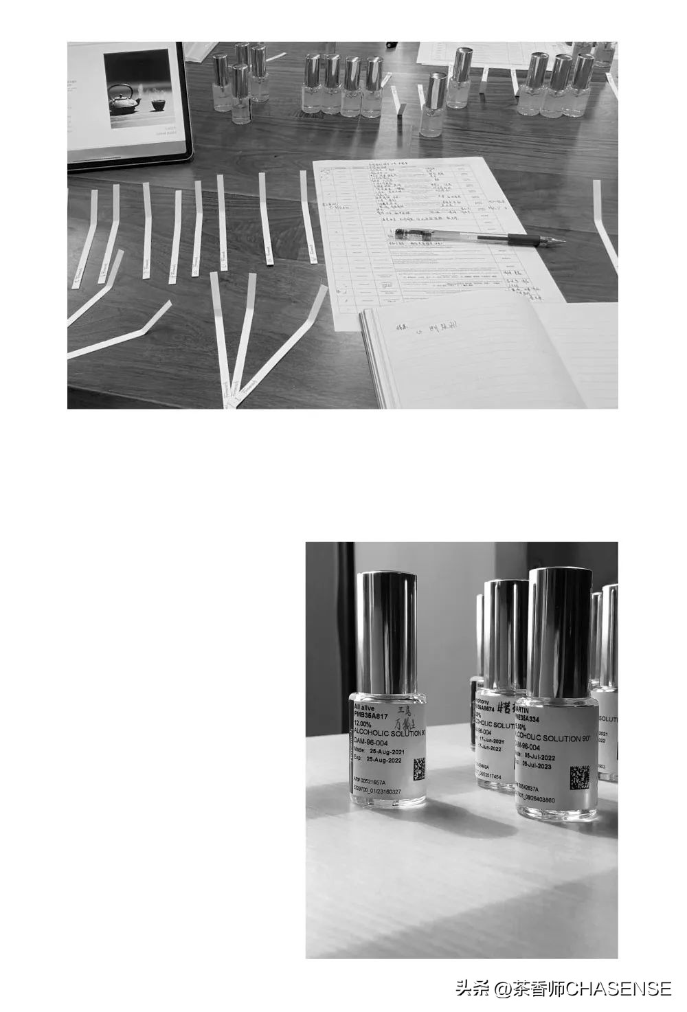 茶香师说丨每个新的气味都是一场赌局