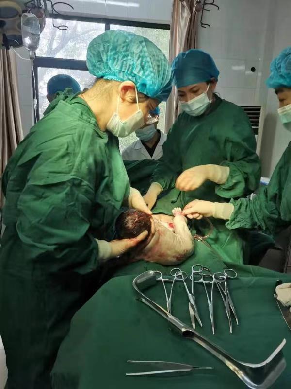 基层卫生守门人,基层卫生健康十大影响力人物