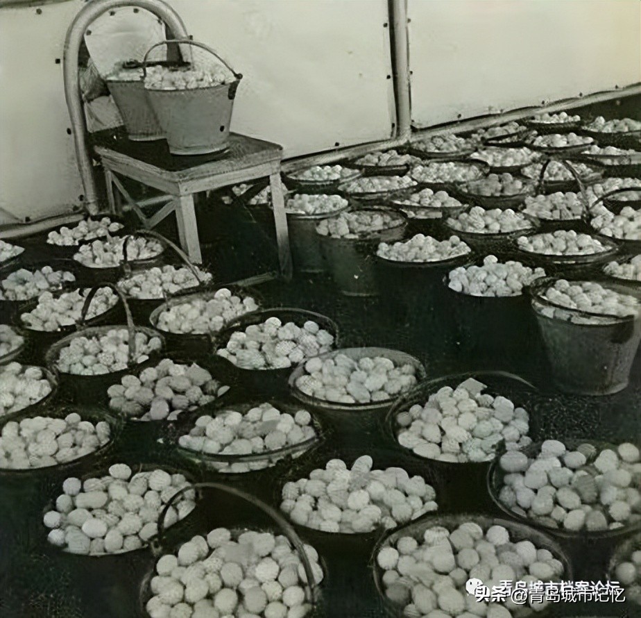 青岛茂昌蛋厂介绍,老茂昌蛋厂照片