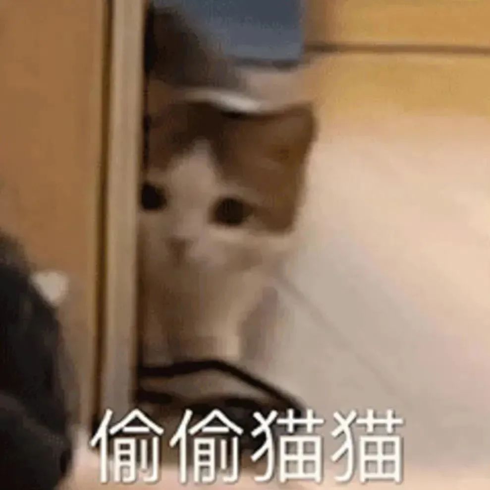 疯成这样！？00后开始流行下跪？这届年轻人的迷信谁懂