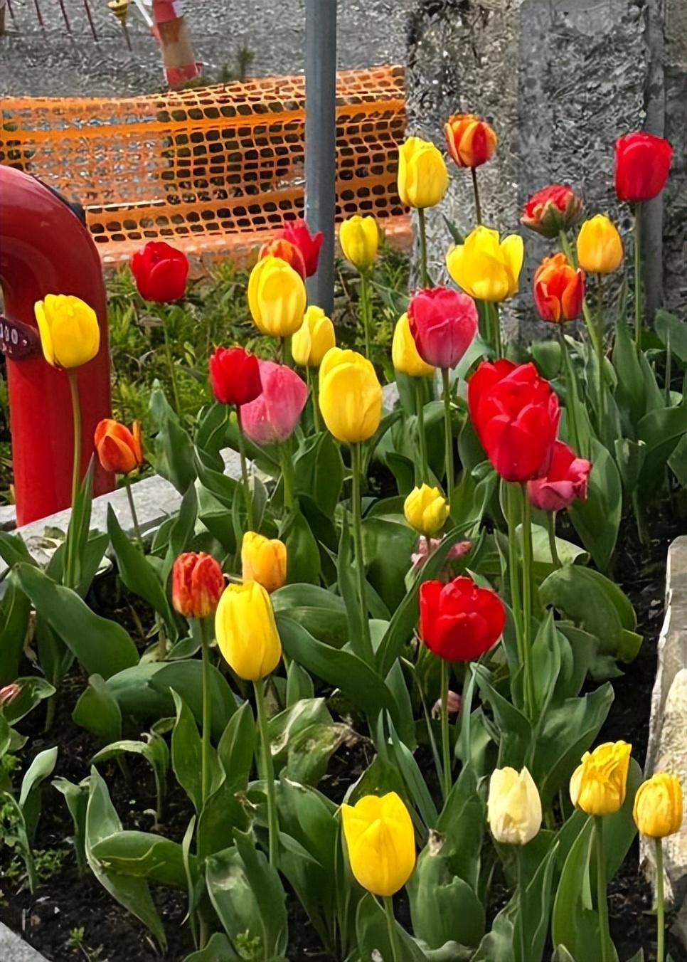 李嫣和男同学照片,李嫣和闺蜜一起逛街