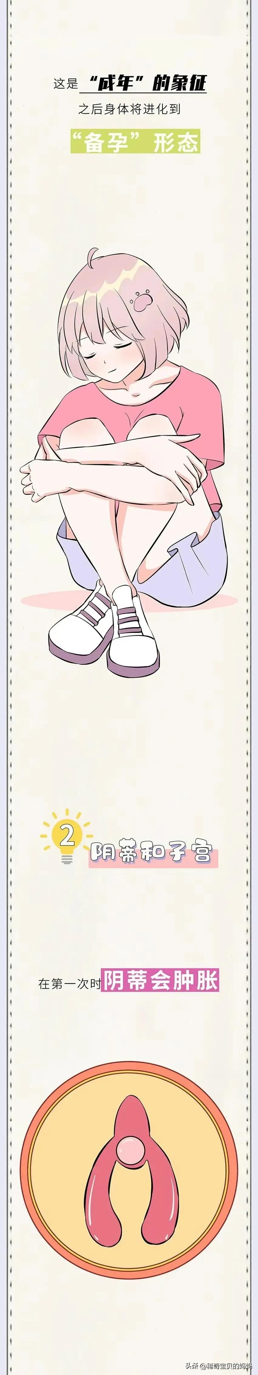 女生姨妈前后四个阶段漫画,女生的一生要经历几个阶段漫画