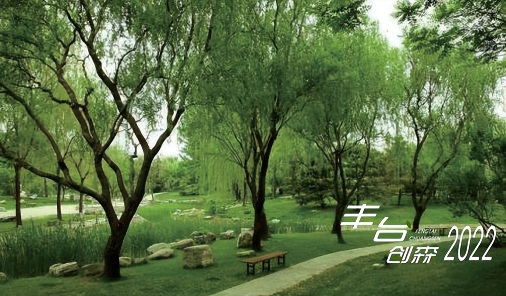 【FENG景】创森动态|天元公园——天圆地方，林间休闲