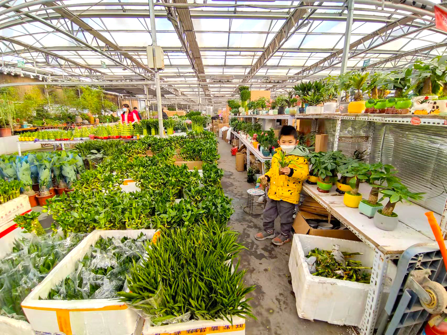 北京宝藏赏花小公园,北京宝藏海洋花市