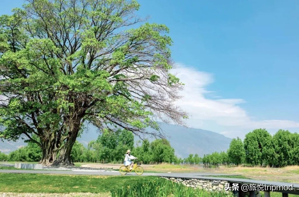 三亚免费适合自驾的环海公路,三亚最美环海公路推荐