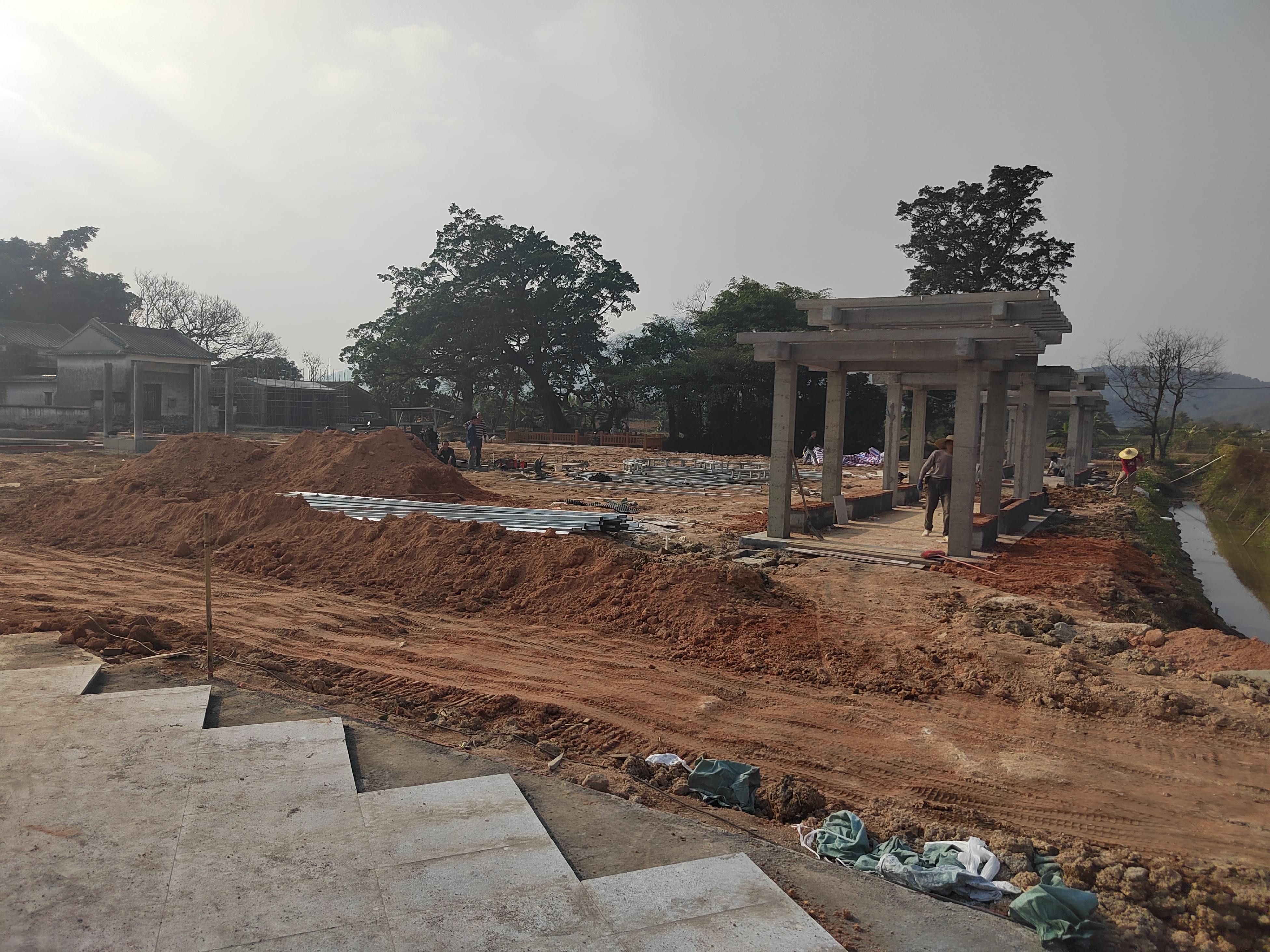 江门新会旅游景点小鸟的天堂,新会小鸟天堂历史记录