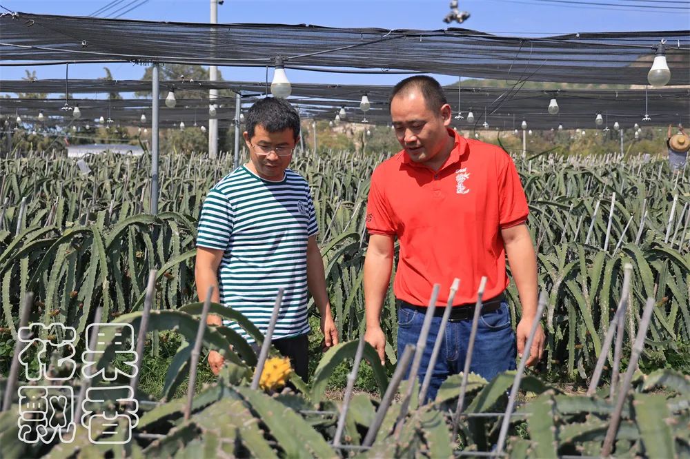 农业项目每亩净收益,农业养殖类项目有没有扶持政策