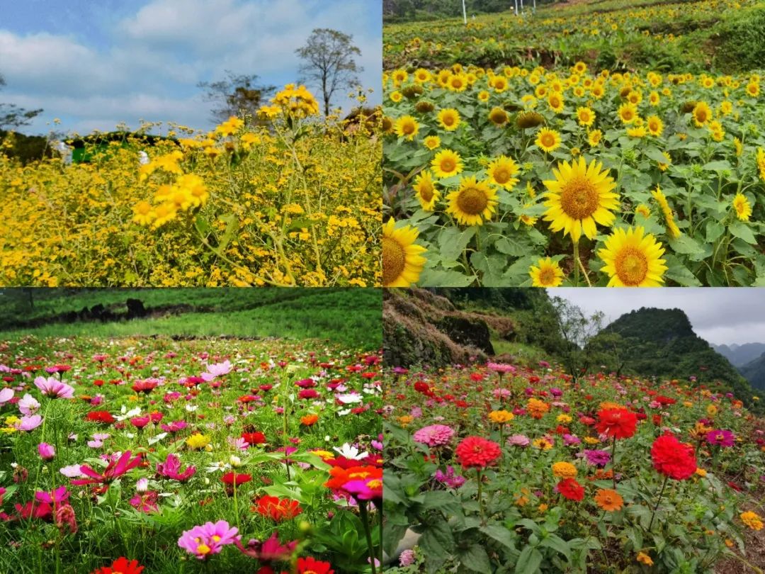 周理，武大为你鼓掌