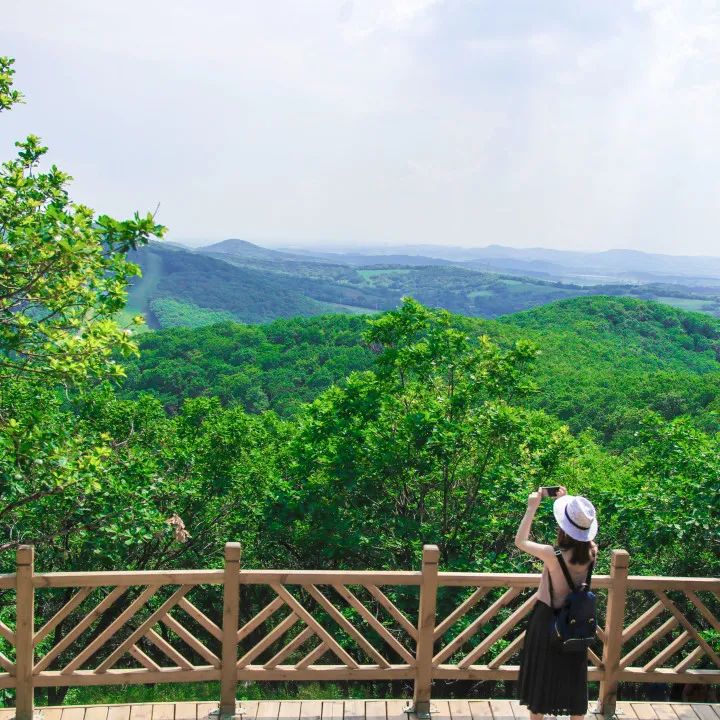夏幽·嗨玩|全部免费！莲花山徒步宝藏地推荐！