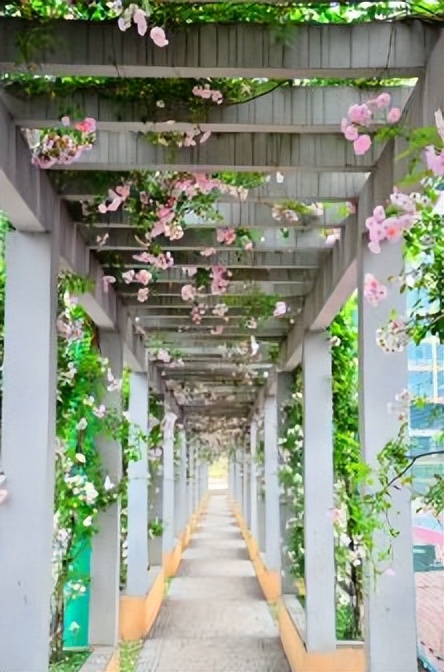 重德博学尚美笃行,重德博学勤勉尚美