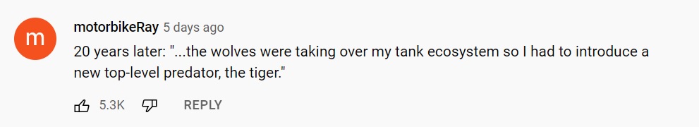 美国小哥在卧室建出一缸热带雨林，食物链环环相扣，太强了