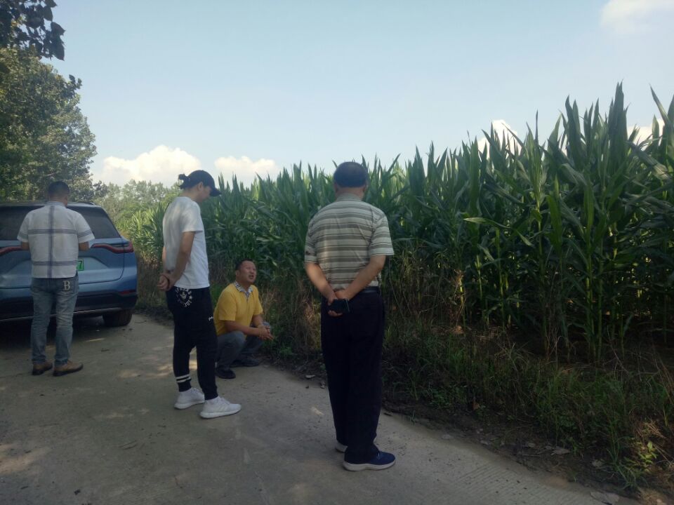 这应该是靠实力“碾压”！南充嘉陵这家企业被北京那边盯上了……