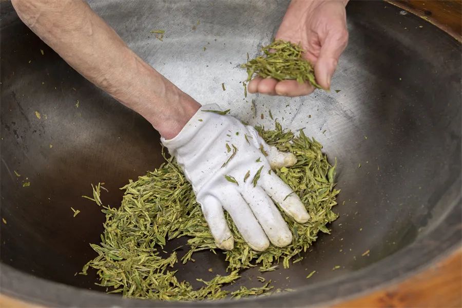 春茶买紧压茶还是散茶,如何判断春茶夏茶的区别