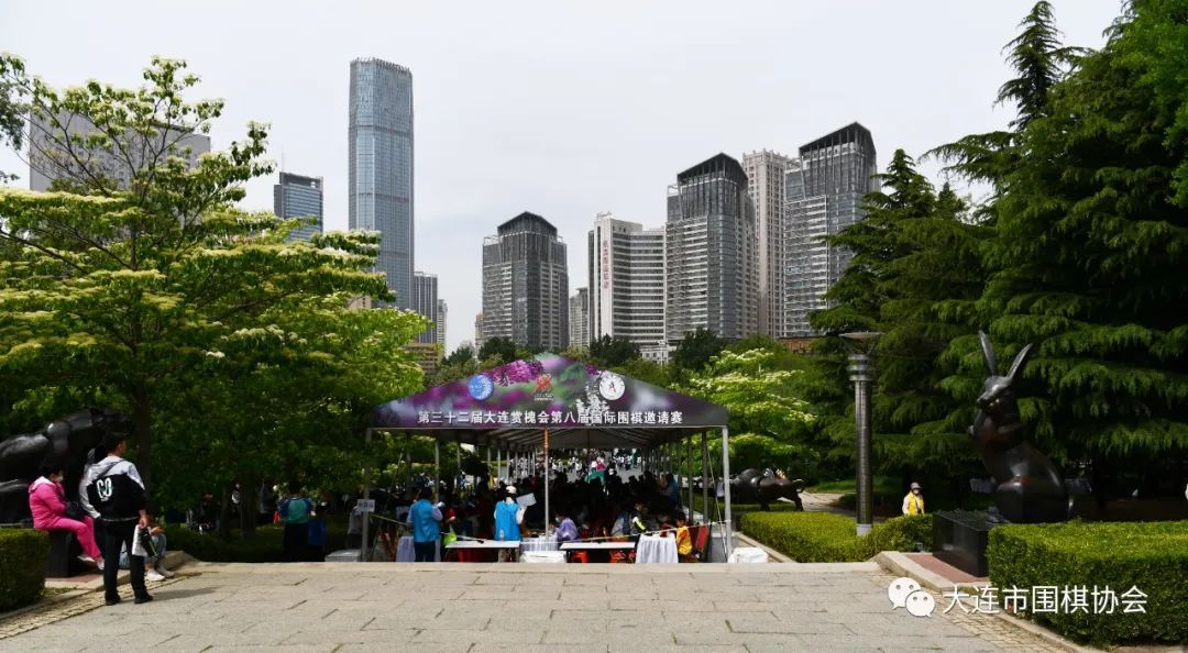 槐香四溢沁入八荒,槐香四溢