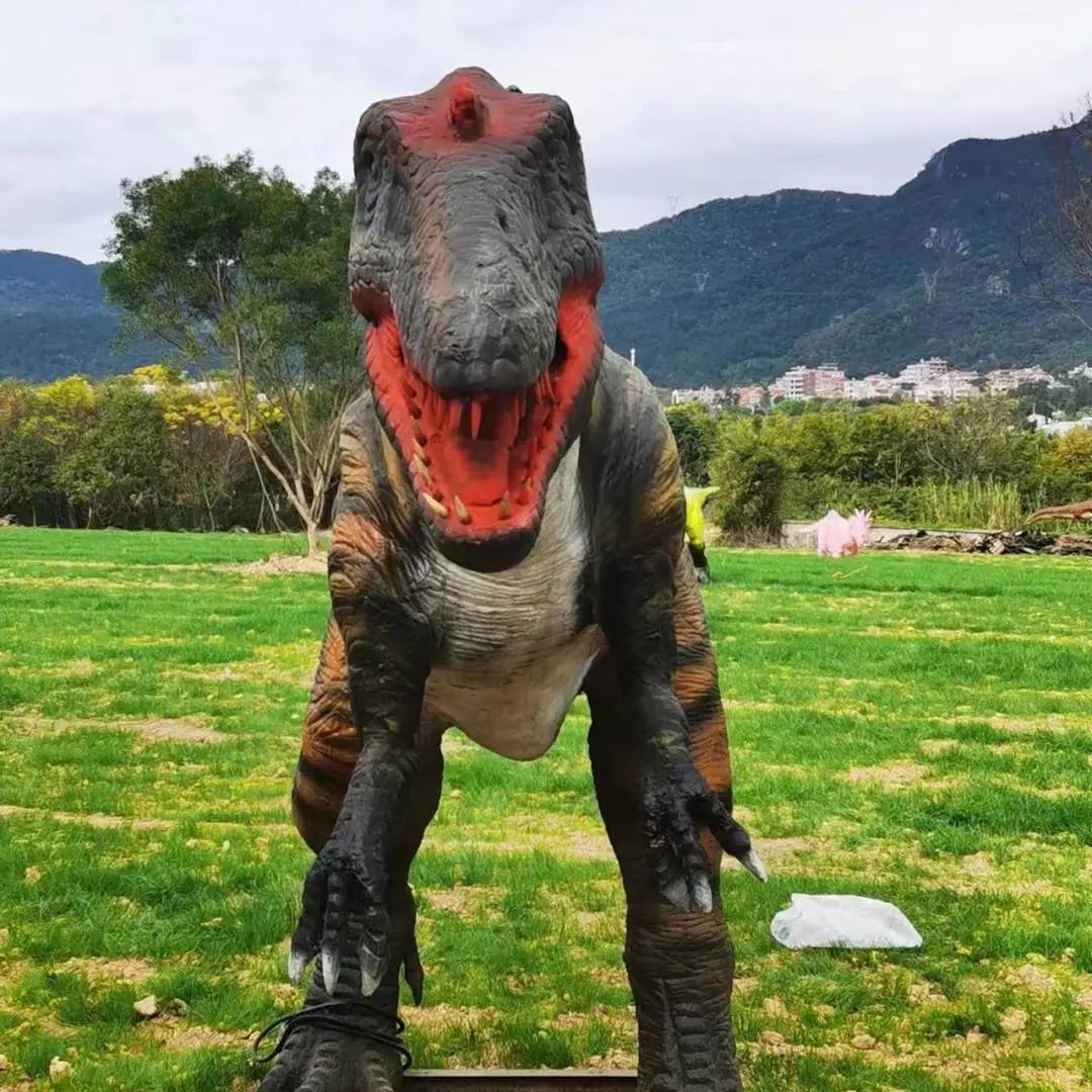 鼓浪屿可以当天预订船票攻略 (鼓浪屿还有免费的船票吗)