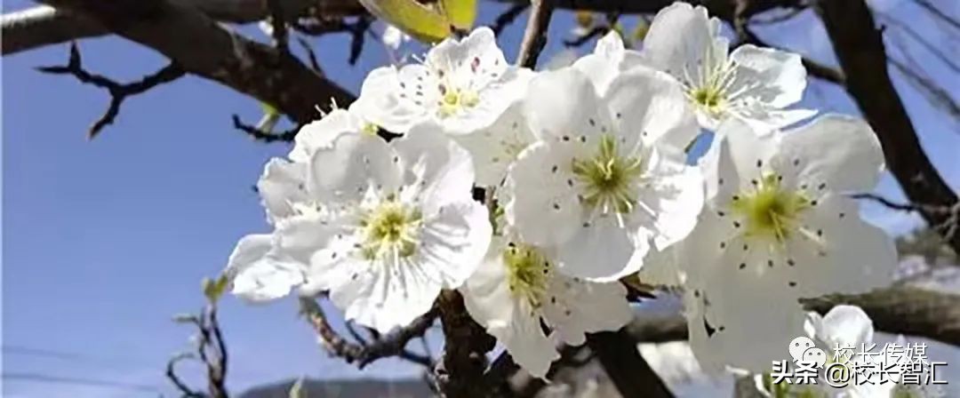 以道德情操滋养师德之魂——《如何成为一名好老师》读书心得