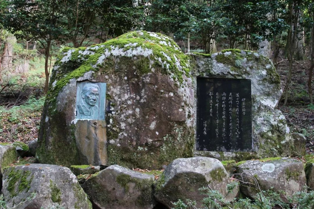日本伊豆七彩神仙鱼,伊豆在日本哪个县