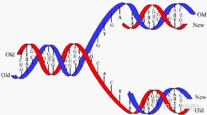 跖疣怎么治能断根,液氮冷冻跖疣治疗亲身经历