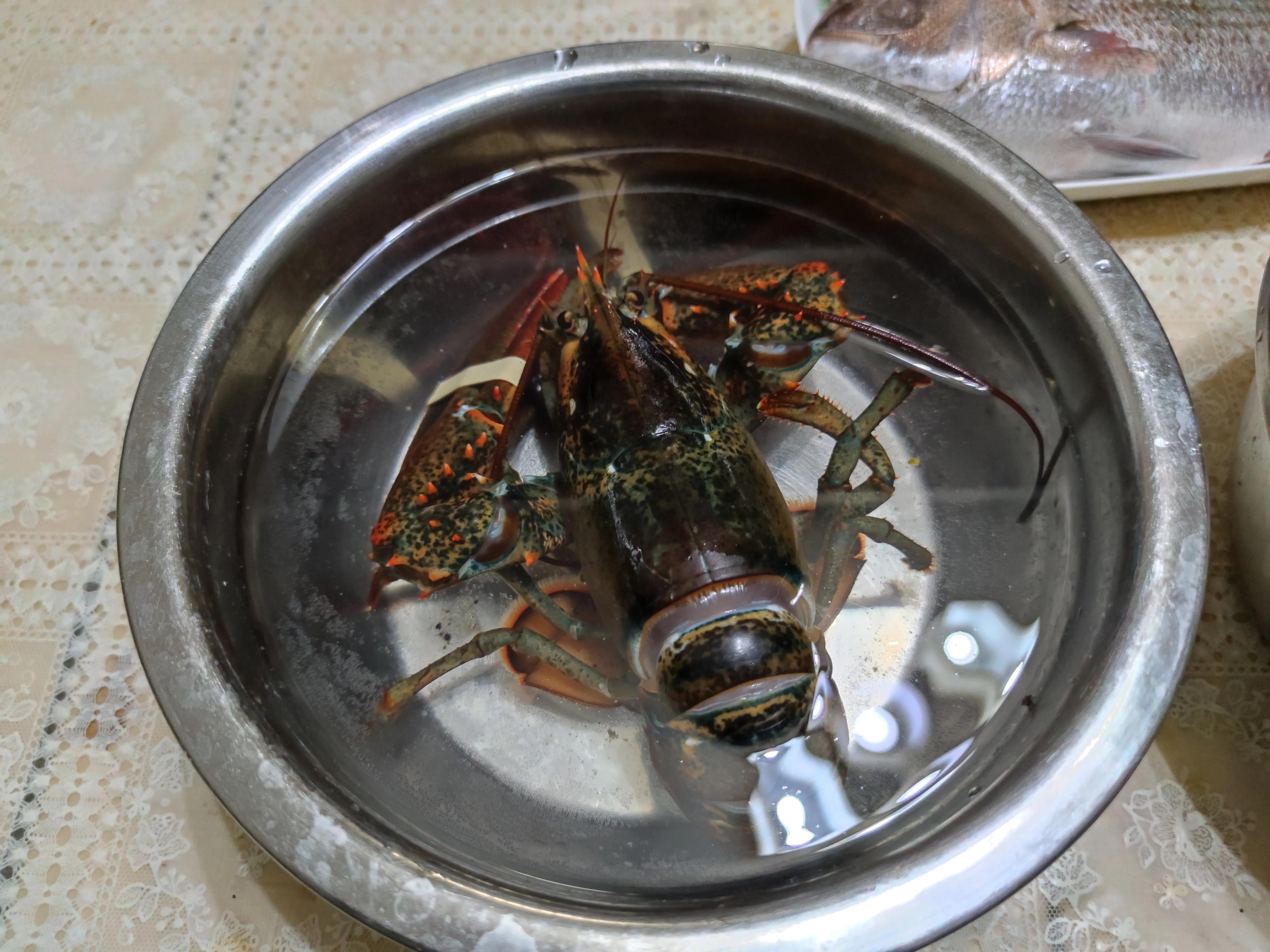 网上买海鲜好还是线上好,网上卖海鲜好不好