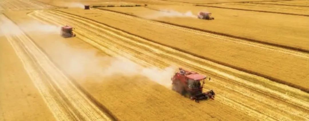 全面推进乡村振兴新闻发布会,人民日报推进乡村振兴获高度关注