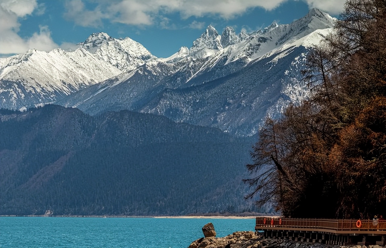 藏南林芝管辖地图,西藏藏南林芝县