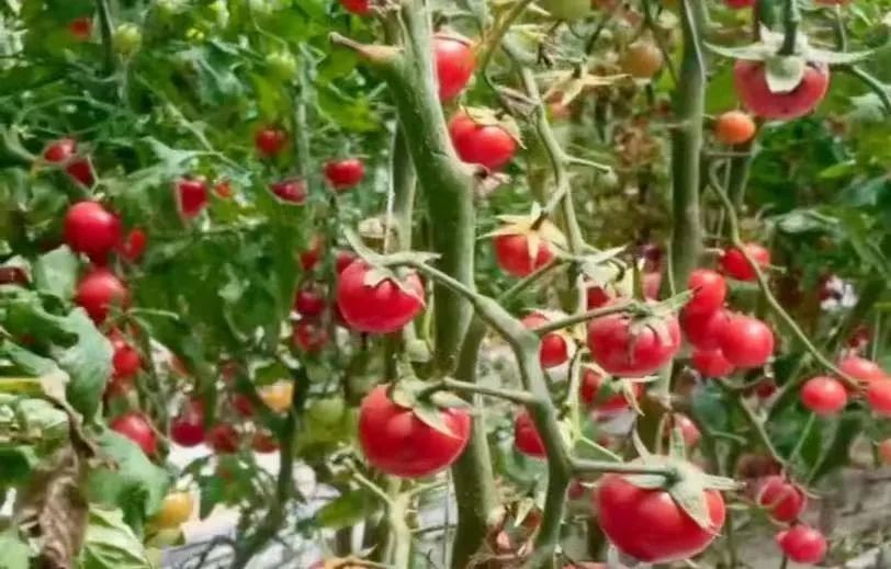 接下来去哪玩比较好,什么时候去拉萨最适合玩儿