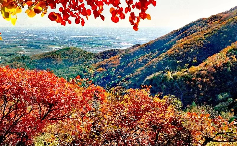 中国最美的十座山你去过了吗,中国最美的十大名山你爬过几座